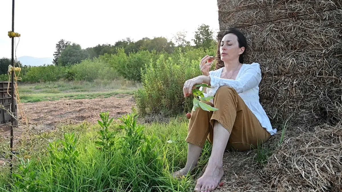 המגע - מאת מריה חרמוני